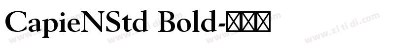 CapieNStd Bold字体转换